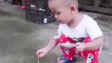 善良会得到回应 萌娃 鸟