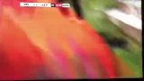 废人动作！阿根廷联赛又现恶意飞铲 两队群殴从场上打到场下