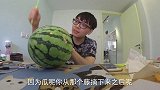 C11香菜西瓜初体验