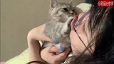 主人在强吻猫咪，而它却很抗拒：我需要援助！