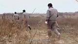 河南芒砀山有一神秘黑洞，专家大胆进入勘探，发现一个惊人的秘密