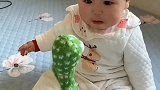 会唱歌跳舞还会学舌的仙人掌，太好玩节了