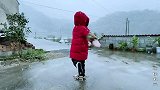下雪了，农田里挖一些小青菜吃火锅，热腾腾的最好吃了