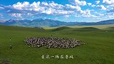 爱要及时说别总说下次