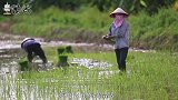 移民火星或成现实，科学家找到“先行者”，微生物将率先改造火星