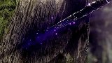 动漫：阎王帖的威力太强，一时三刻时年就没了