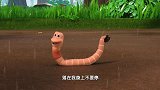 萌鸡小队：蚯蚓叔叔带小鸡了解下雨的快乐，最后不舍得雨停