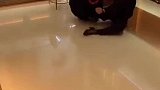 3个女人一台戏，大家一起互相整！