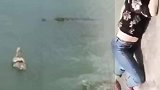 美女不小心掉到鳄鱼池，快来人救我上去！