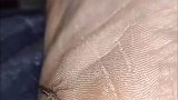 来了就是缘分，吃饱喝好