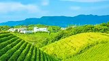 很美的风景