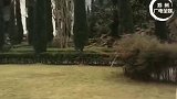 25日，女导游回应在地震遗址怒怼嬉笑游客：那种场合是不能摆龙门阵和大声嬉笑的！