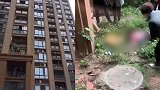 重庆一小区两名幼童从15楼掉下身亡 父亲撞墙痛哭