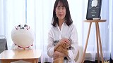 一次性挑战抱5只猫！肥猫太重险被压倒，猫：怪我咯？！
