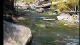 中美俄三大油画风格，哪一种是你的菜？