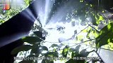 世界最神奇石头，喝水就会变大还能自己动，专家切开看过傻眼了