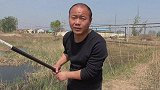七星漂钓鲫鱼，水草边打窝，下竿就是狂口