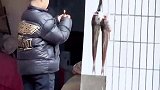 萌娃在奶奶腌的咸鱼里面放鞭炮，奶奶正在拿棍子的路上