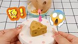 我的仓鼠今天过生日！给它做奶酪蛋糕状况百出啊！