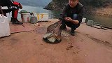 港口与大河交汇处鱼都饿疯了，下钩就中鱼，真过瘾