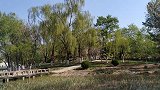 初春季节的小屯公园