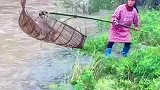 越南大妈用古法方式抓鱼，这运气也是没谁了！