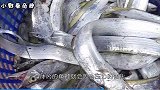 全球最有“骨气”的鱼，被捕捞上岸就会“自杀”，你肯定吃过