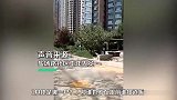 兰州一老人被高空坠狗砸中身亡 当地：狗主人尚未找到，警方已介入