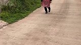 今天村口有点热闹了