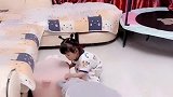 家有龙凤胎兄妹妹妹太懂事，哥哥永远都是这样宠妹妹的