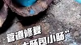 超有趣的管道修复，难道这就是“大肠包小肠”？