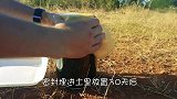 男子往鱼洞倒可乐，鱼儿纷纷跃出水面，轻轻松松满载而归！