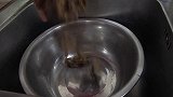 超小厨今天做“小鸡炖蘑菇”东北榛蘑配公鸡，三人一锅吃过瘾