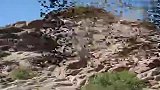 好摄之徒-20110715-秘境阿拉善之诺尔公怪石沟