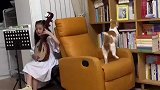 女孩弹琴猫猫在旁伴舞，堪称节奏大师