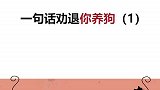 答应我，看完这个视频再决定要不要养狗！