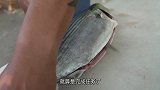 年薪50万的日本大厨赶海钓鱼，现场随手一刀