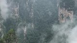 阿凡达取景地，云雾缭绕森林公园