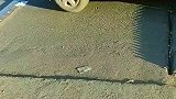 牛人设计防逆行路障，效果就是好