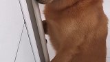 袜子的伴侣是谁  我真不知道