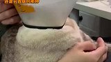 这猫头上长了个莲蓬，还是会冒烟的那种