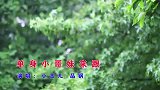民间山歌《单身小哥妹来跟》小玉儿、品锅演唱