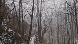 好冷呀，山上还全是雪