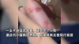 女子带狗就餐遭店内小猫疯狂抓咬，店家：都知道猫狗不和还牵小狗