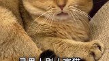 大家帮我出出主意吧