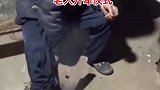 老人开犁仪式，这脚气真厚