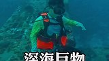 探险太平洋，发现海底飞机