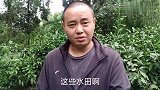 四川农村：生产队的农田荒芜，看着很揪心，你们觉得还有救吗