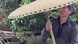 竹制伞，民间手艺