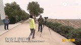 惊喜！在武汉沉湖湿地发现上百只国家二级保护动物！